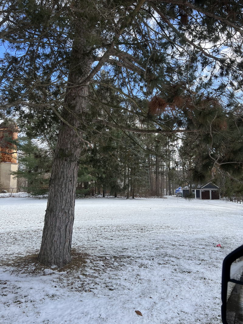 McMath-Hulbert Observatory - Dec 19 2023 Photo (newer photo)